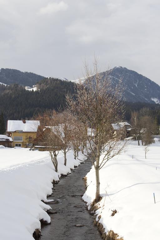 Apartmenthaus Berdnik Kotschach-Mauthen Номер фото